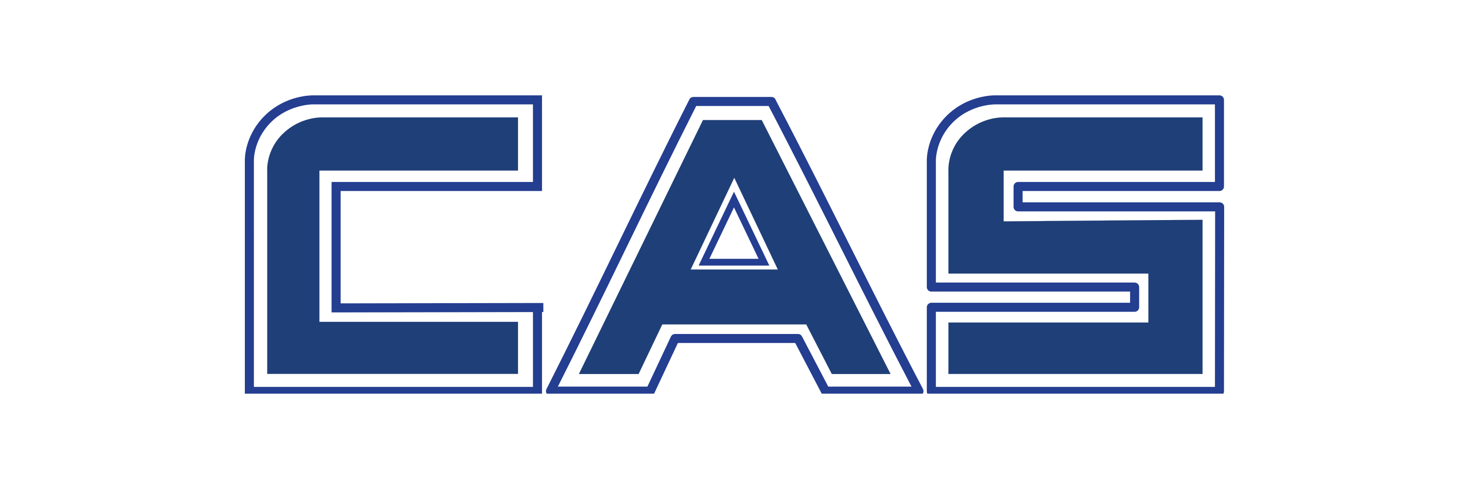 Терминал CASIO DT-X7 управляет крановыми весами CAS