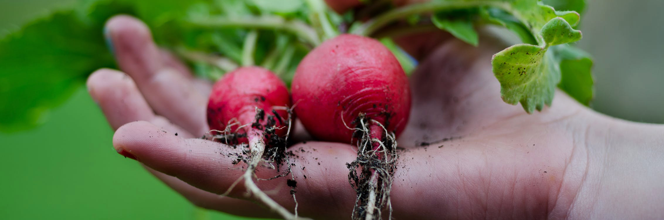 Красящая лента для Агрокомбината «Московский»