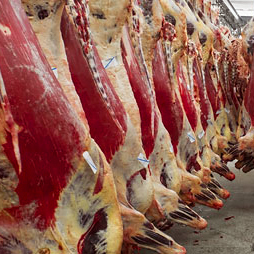 Маркировка замороженных и охлажденных продуктов