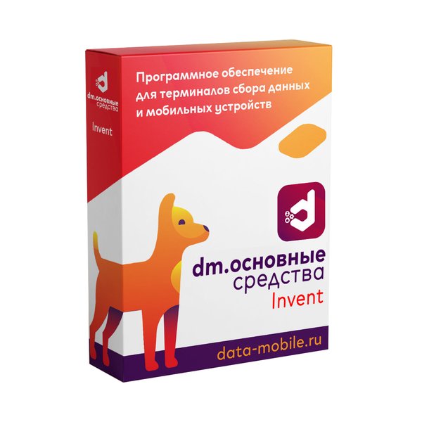 DM.Основные средства: Invent